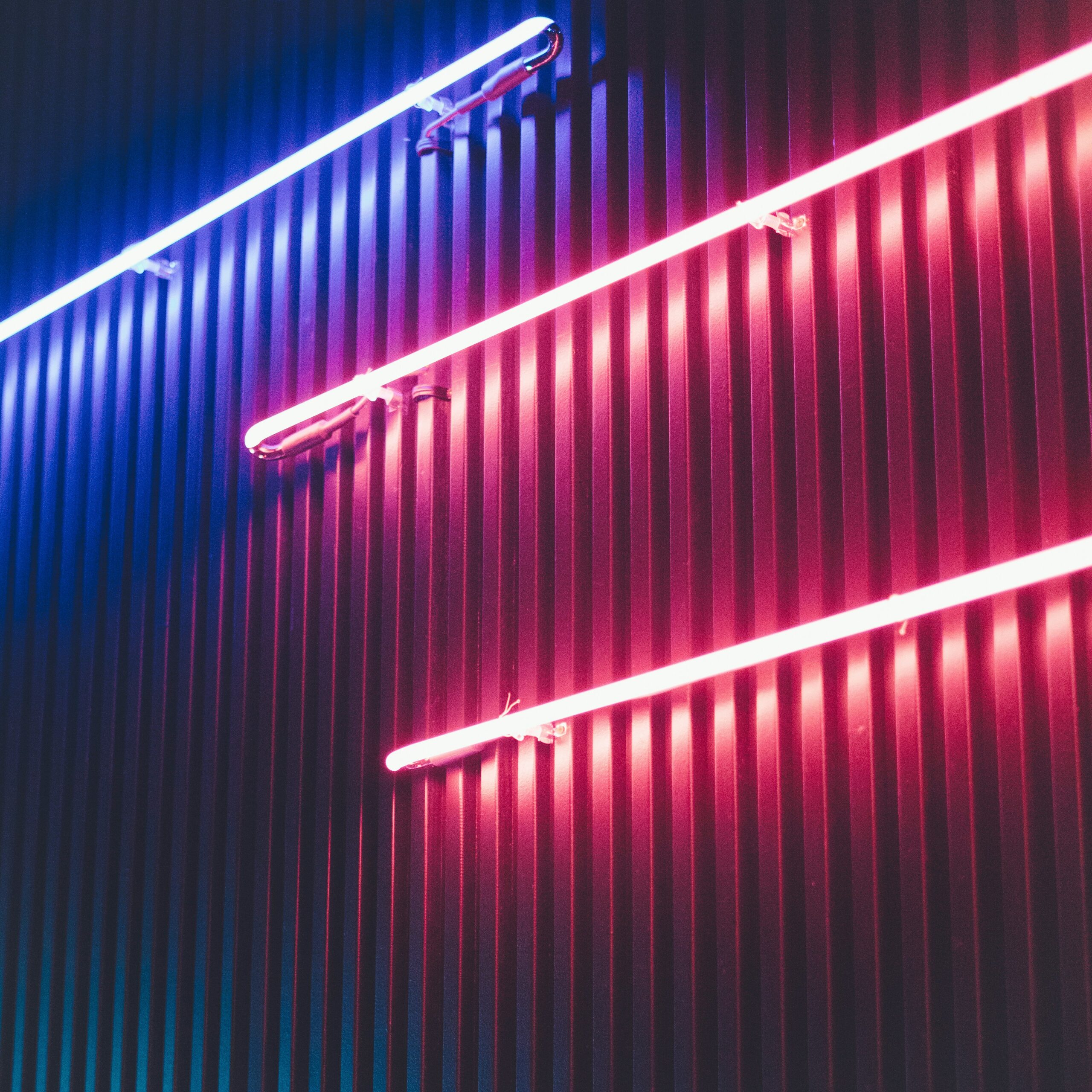 rhum-phan-1-1gFMY0sJQ-unsplash